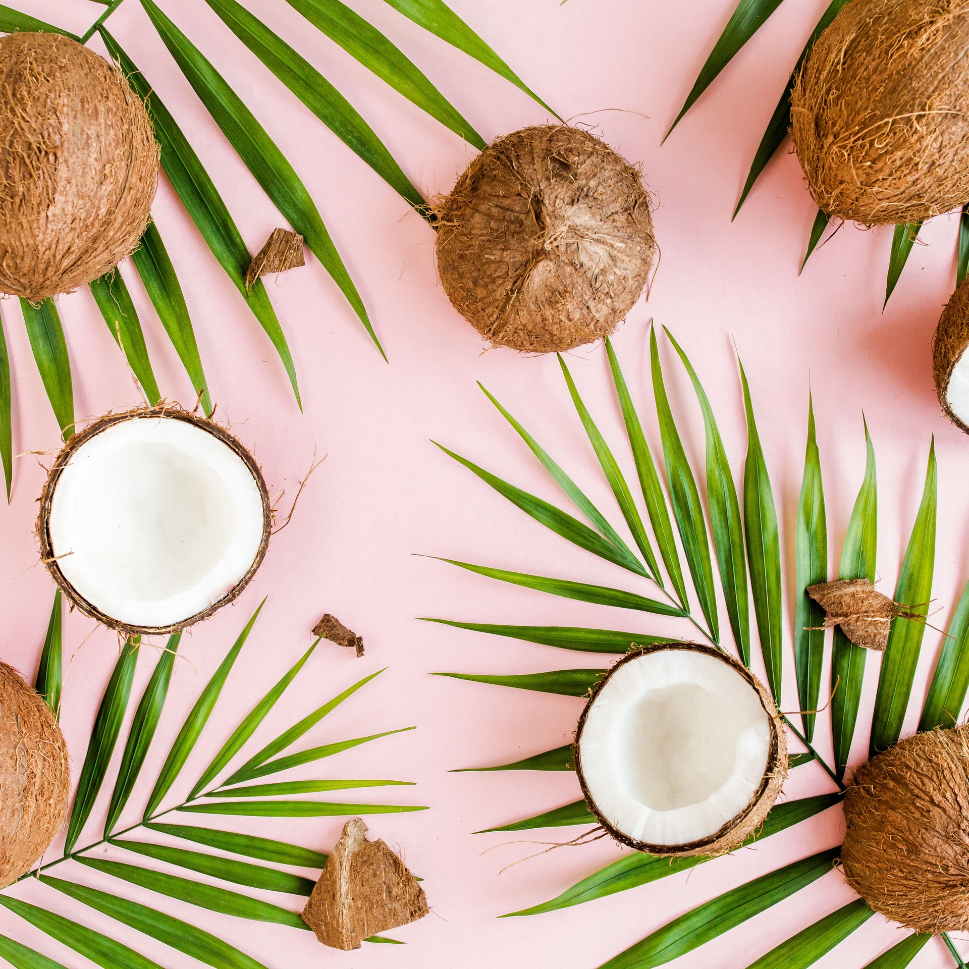 Pattern, texture with coconuts and tropical palm leaves on pink background. Tropical abstract background. Flat lay, top view